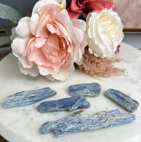 Wholesale Large Blue Kyanite Blades-Blades-Angelic Healing Crystals Wholesale