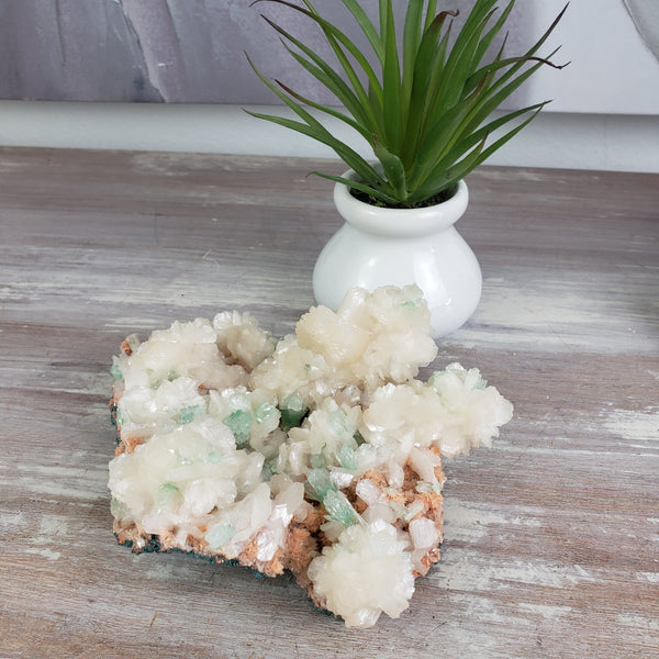 Apophyllite Cluster 1-3 Inch-Specimens-Angelic Healing Crystals Wholesale