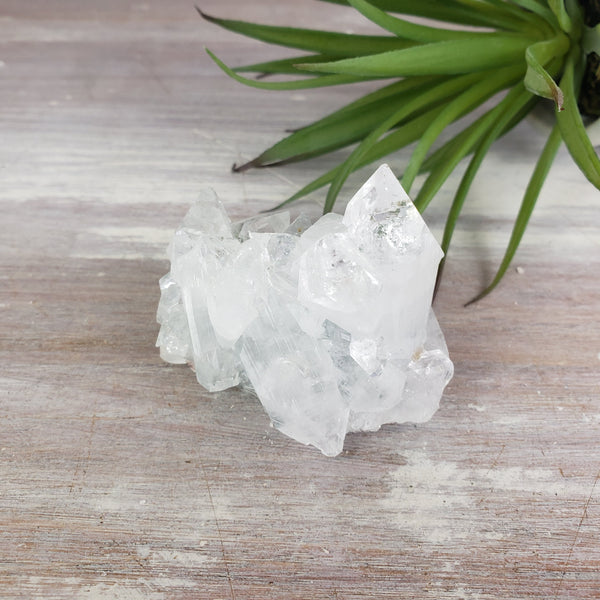 Apophyllite Cluster-7-8 inch-Specimens-Angelic Healing Crystals Wholesale