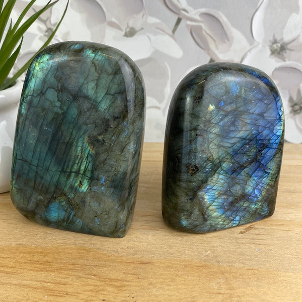 Labradorite Polished Freeform Specimen-Large-Specimen-Angelic Healing Crystals Wholesale