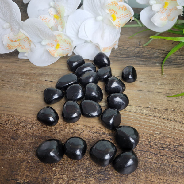 Shungite Tumbled 1" Stone-Loose Stones-Angelic Healing Crystals Wholesale