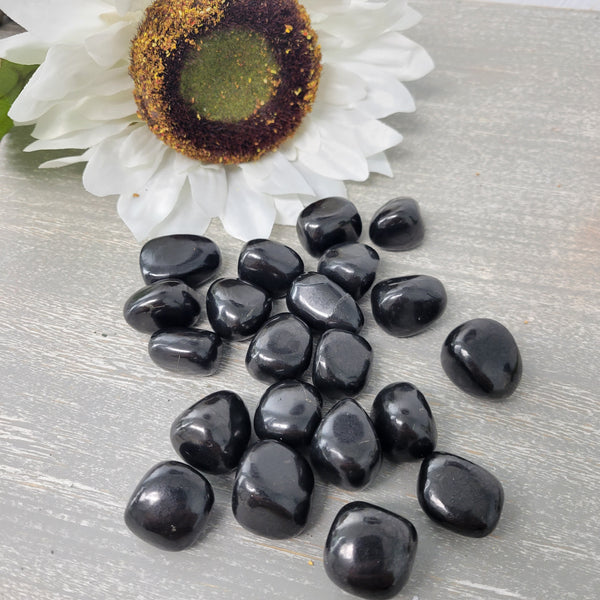 Shungite Tumbled 1" Stone-Loose Stones-Angelic Healing Crystals Wholesale